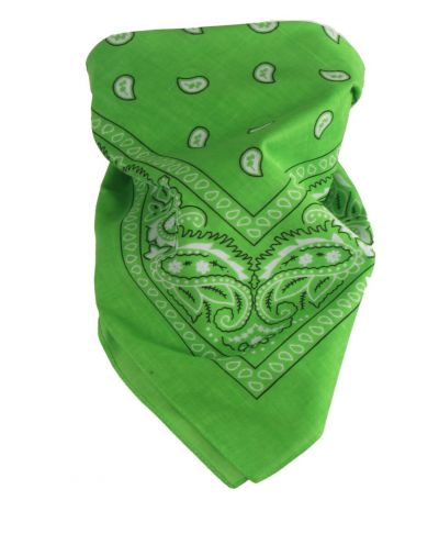 Boerenzakdoek / bandana in appelgroen